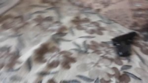 В ЧИТЕ МЕДВЕДЬ ТИМОН