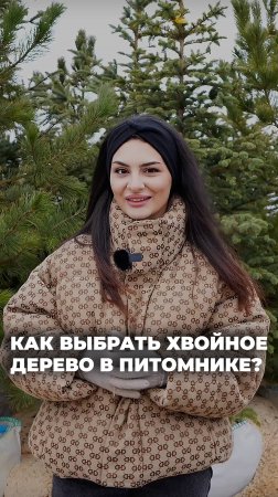 Не ошибись с ёлкой! Как выбрать в питомнике? 🌲✅ | In Garden
