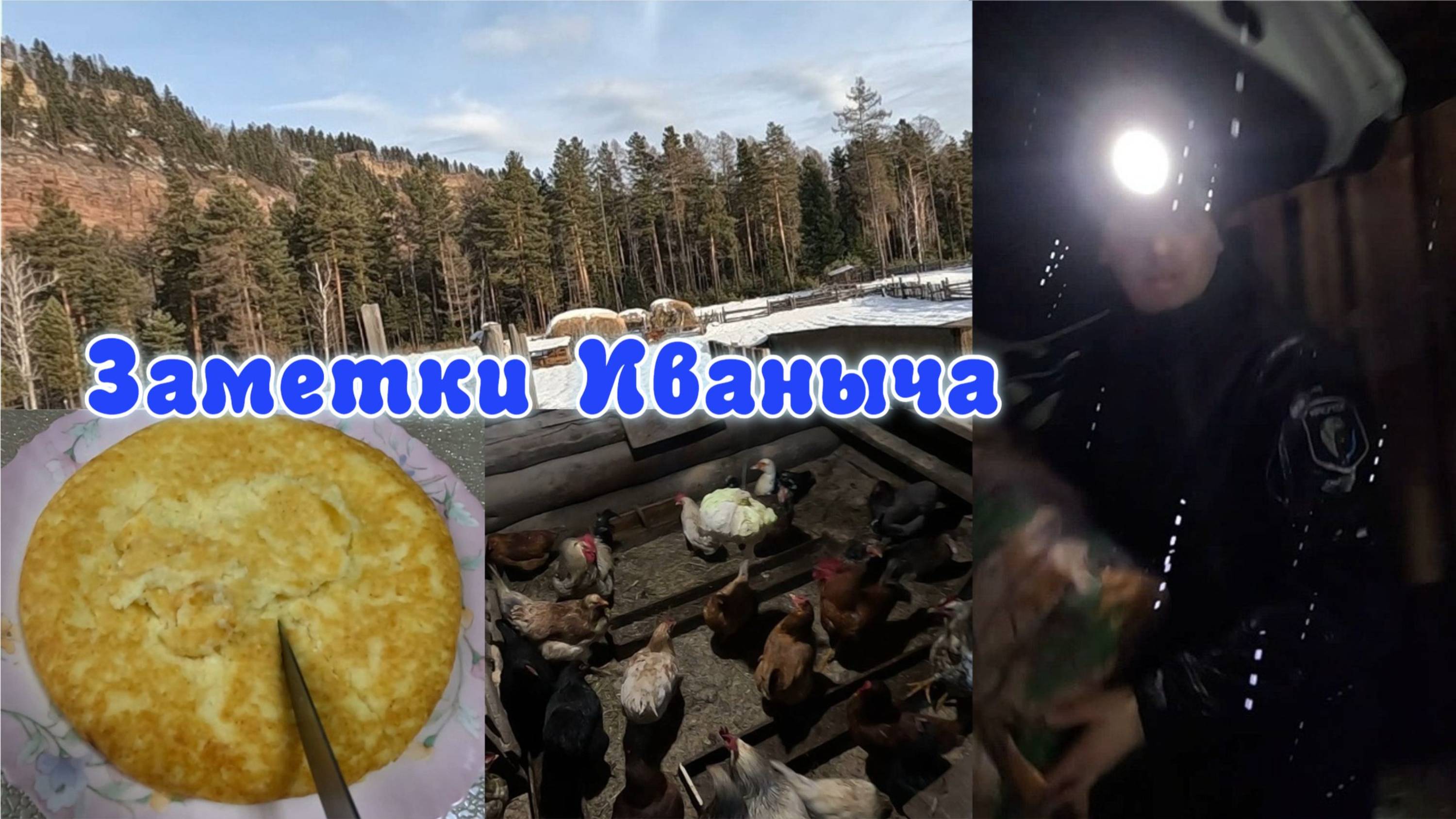 Дела домашние, запеканка и проблема с курицами