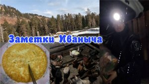 Дела домашние, запеканка и проблема с курицами