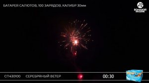 СП430100 Серебряный ветер