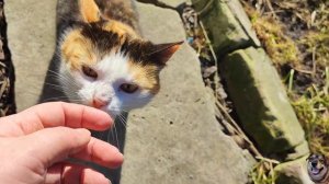 Воскресный привет/ много любимых хвостиков/Клипса зажигает💥