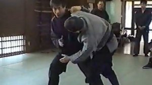 Ниндзюцу - семинар в Японии / Ninjitsu Israelies in Japan. Часть  2