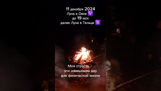 #11декабря2024 #гороскопдня