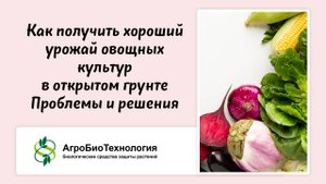 Вебинар "Как получить хороший урожай овощных культур в открытом грунте. Проблемы и решения".