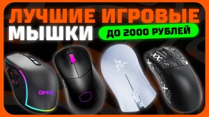 Лучшие игровые мыши до 2000 рублей в 2024 году | Какую бюджетную игровую мышь купить?