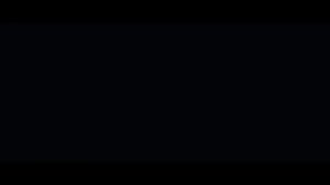Защитное стекло indAccess