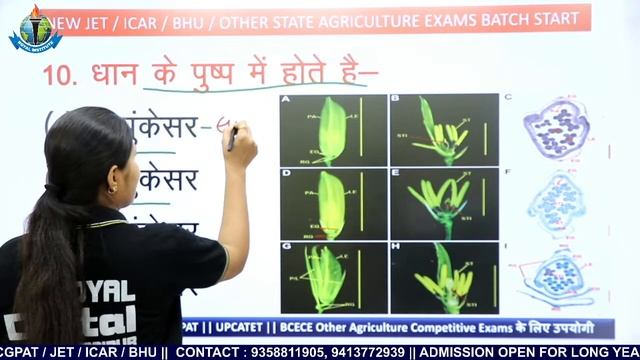 GENERAL AGRICULTURE | महत्वपूर्ण प्रश्नोतरी | किसमें कितना है दम SEASON #02 |ROYAL INSTITUTE UDAIPU