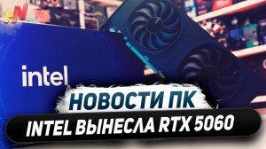 90% выбрали Nvidia, беда RTX 5000, Arc B580 вынесла 4060, дефицит Ryzen 9800X3D