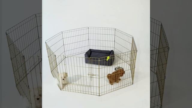 Вольер для животных, 8 секций, Золотой цвет смотреть онлайн