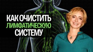 Оздоровление лимфатической системы. Что загрязняет лимфу? Как работает лимфатическая система?