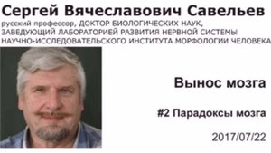 Вынос мозга 2 Парадоксы мозга. Савельев С.В. 22.07.2017