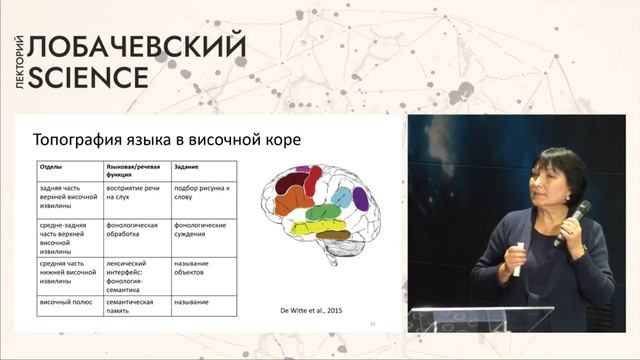 Лекция «Нейролингвистика: что мы знаем о связи языка и мозга»