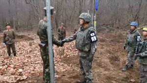 Корея DMZ 21 11 24