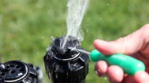 Rain Bird 5004 Rotor