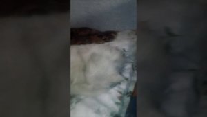 Песня про костю