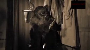 МОЯ АВТОРСКАЯ ОЗВУЧКА КОТА БЕГЕМОТА ИЗ СЕРИАЛА "МАСТЕР И МАРГАРИТА"