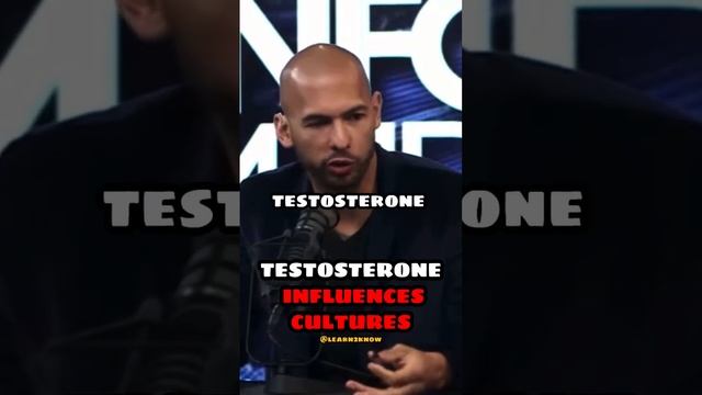 TATE on TESTOSTERONE’s INFLUENCE смотреть онлайн