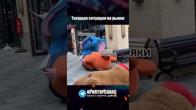 Текущая ситуация на рынке