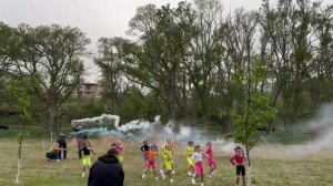 Флешмоб Импульс парк