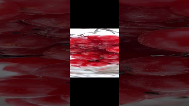12-12-2024 калина под снегом в декабре