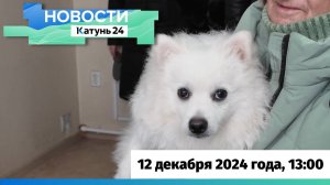 Новости Алтайского края 12 декабря 2024 года, выпуск в 13:00