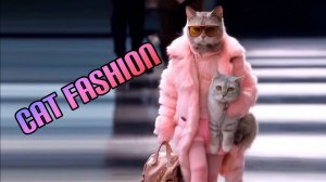 AIP - Cat Fashion (AI)