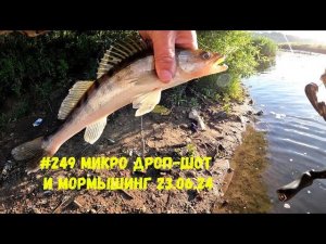 #249 Микро Дроп-шот и Мормо 23 мюня 2024