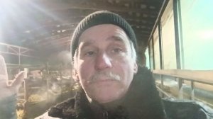 Село умирает без животных