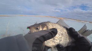 15-17 апреля Чаны