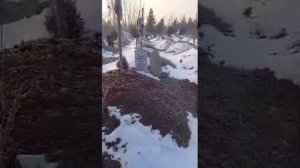 #zarafshonmedia | Эркин одинаев "гуфтам наравам деха дигар очам нест"