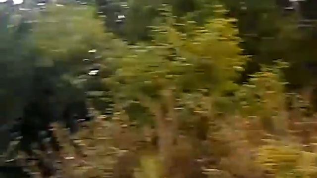 9/7/16 BOTANIC GARDENS ,OKLAHOMA STATE UNIV, STILLWATER OK смотреть онлайн