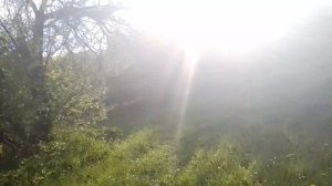 Капха.Вода.Диагностика по пульсу. Васант Лад