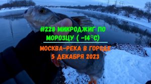 #228 Микроджиг по морозцу  (-14°С) Москва-река 5 декабря 2023