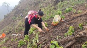 A 15-year-old single mother struggles with the rainy and windy life of working as a hired laborer
