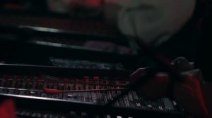 ONUKA – Animal (Live at October Palace, Kyiv)