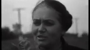 Хроника наших дней 1984 №41
