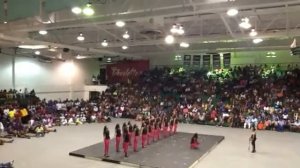 Epsilon Pi Chapter of Alpha Kappa Alpha Sorority Inc. MVSU