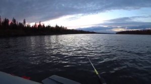 Осень мы на Обь! 23.09.2022