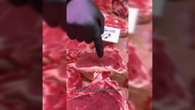 Как выбрать говядину. смотреть онлайн