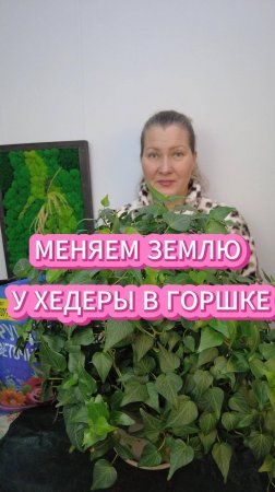 КАК УХАЖИВАТЬ ЗА ХЕДЕРОЙ