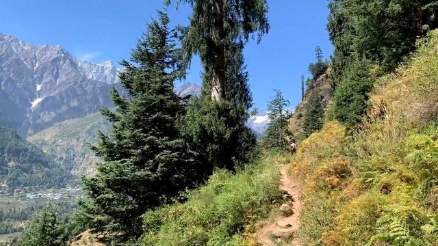 Manali’s biggest waterfall | Jogini Falls Trek- YOU can do it! смотреть онлайн