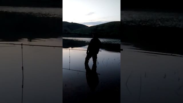 Поцелуев(1)