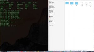 Администрирование Mac OS. Terminal. Навигация по файловой системе
