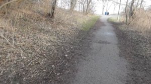 Аура природы