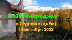 #139 Микроджиг в Жуковке (днём) 14 октября 2022