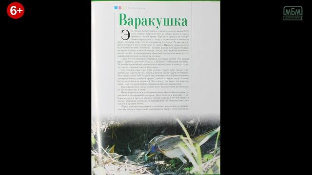 Книга Анатолия Статейнова «Волшебный мир птиц»