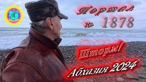 #Абхазия2024 🌴 12 декабря. Выпуск №1878❗Погода от Серого Волка🌡вчера +16°🌡ночью +9°🐬море +14,5°