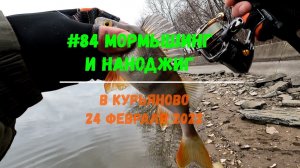 #84 Мормышинг и Наноджиг Курьяново 24 февраля 2022