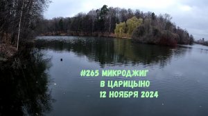 #265 Микроджиг в Царицыно 12 ноября 2024